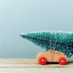5 Ways To Re-Use Your Christmas Tree After The Holidays