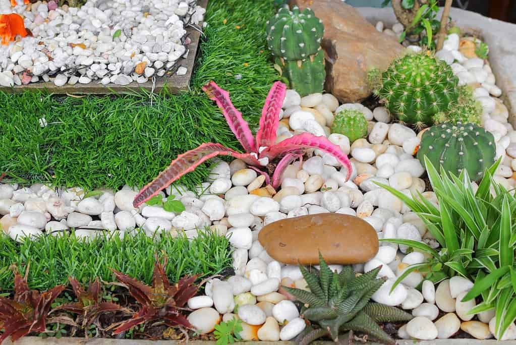 Pebble design in a garden