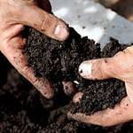 Black fertile soil
