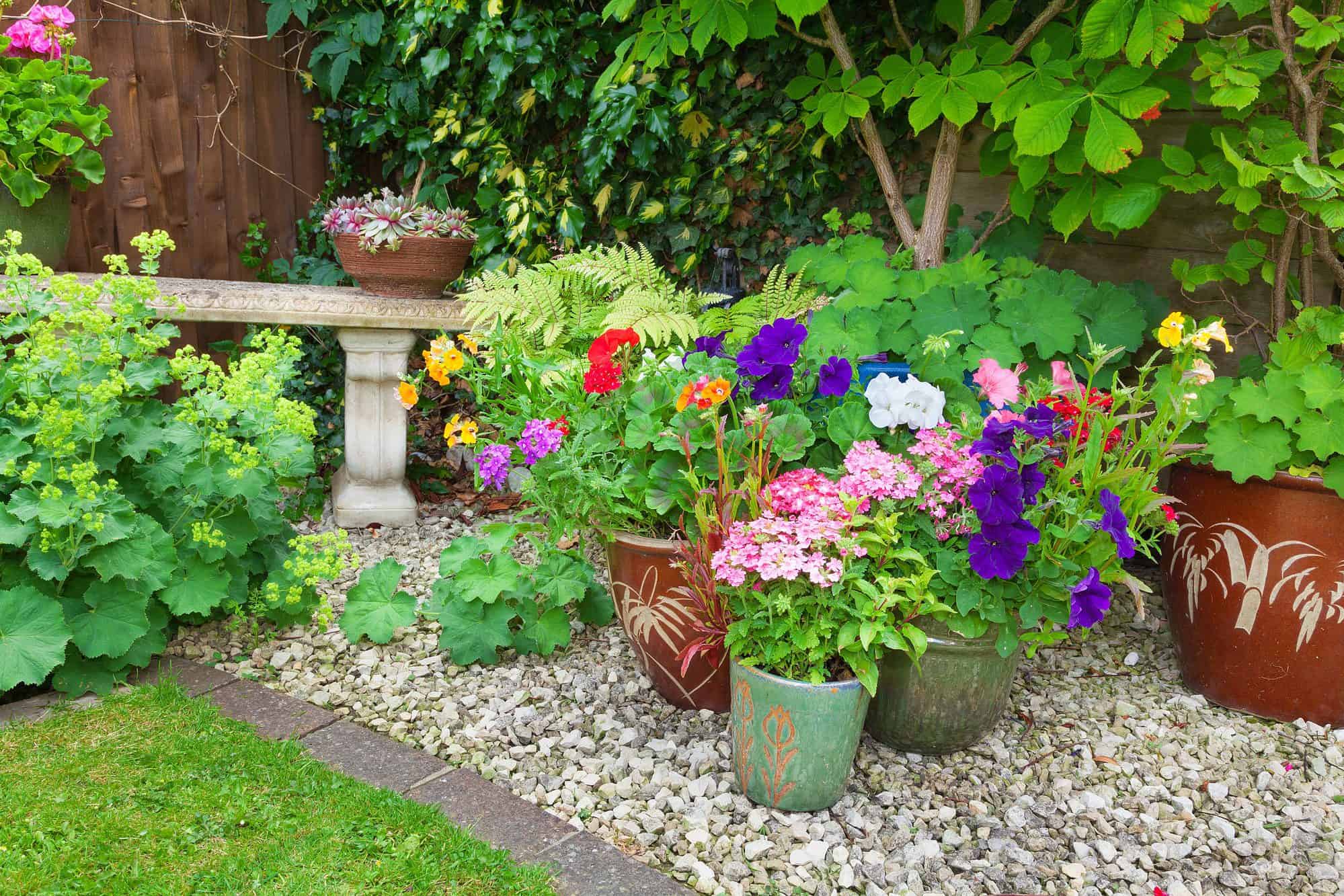 Gravel patio with container plants