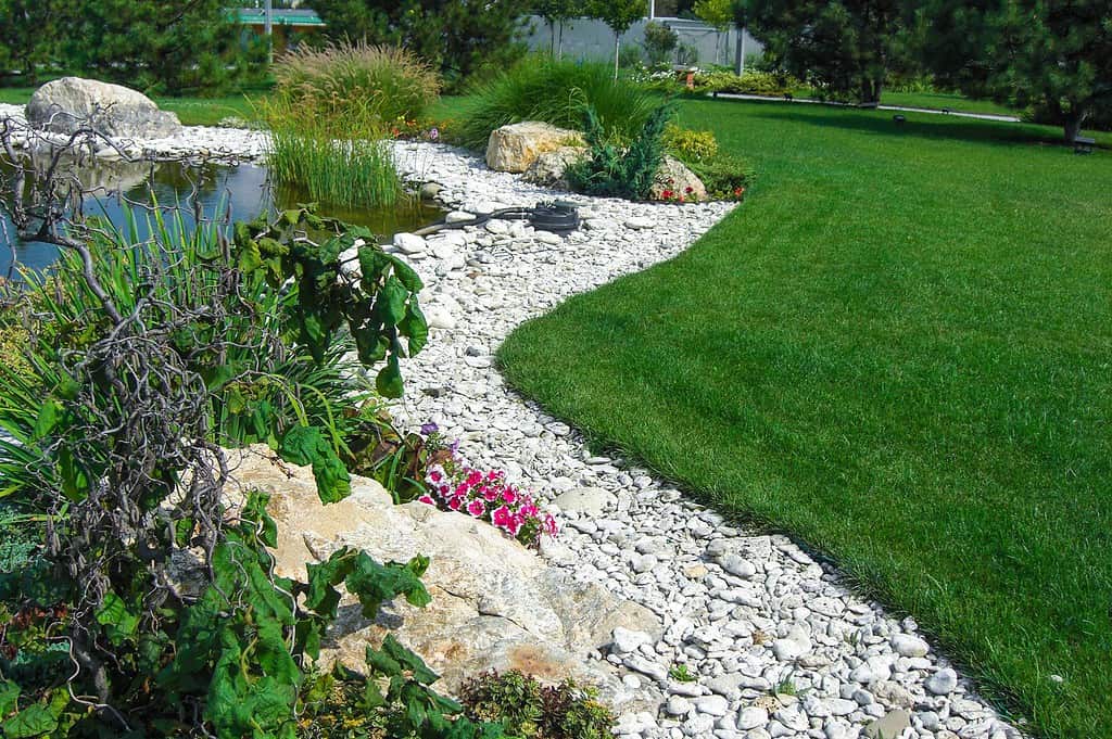 Stone edging along a pond