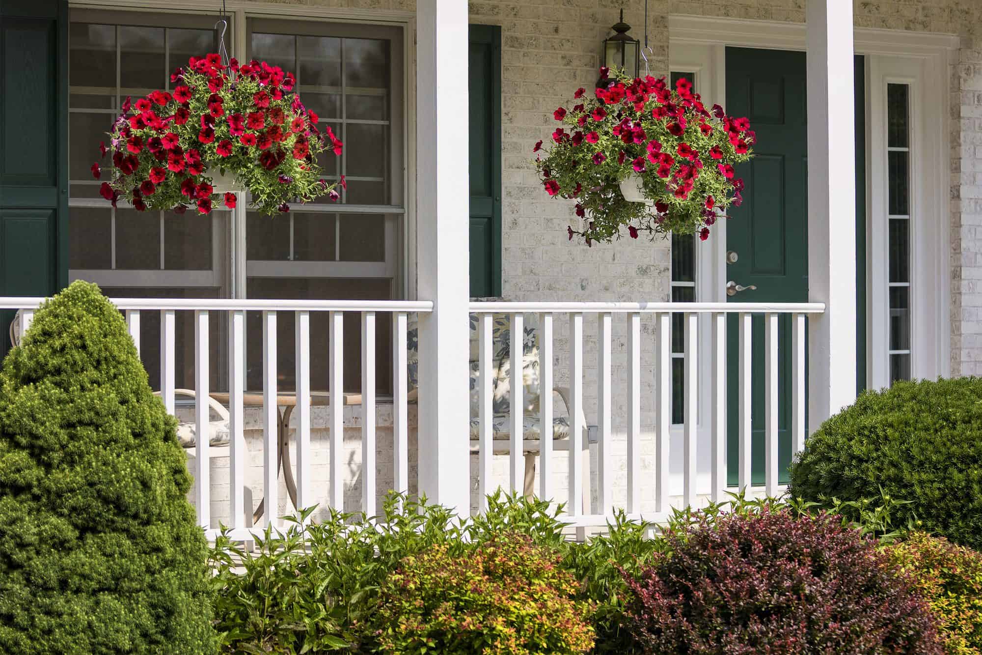 A beautiful landscaped American front porch with white railings and hanging baskets with red flowers.